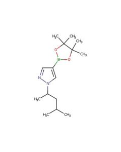 Astatech 1-(4-METHYLPENTAN-2-YL)-4-(4,4,5,5-TETRAMETHYL-1,3,2-DIOXABOROLAN-2-YL)-1H-PYRAZOLE; 1G; Purity 95%; MDL-MFCD32660297